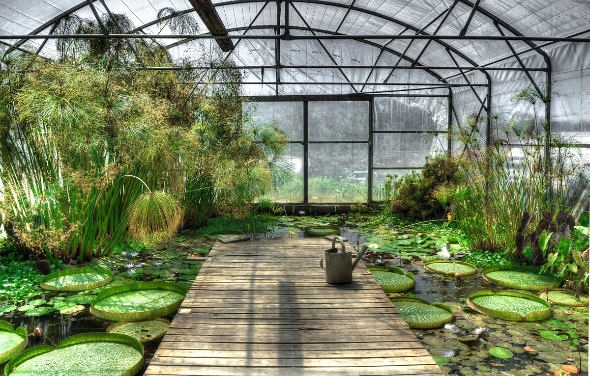 What Are Pond Liners Made Out Of?