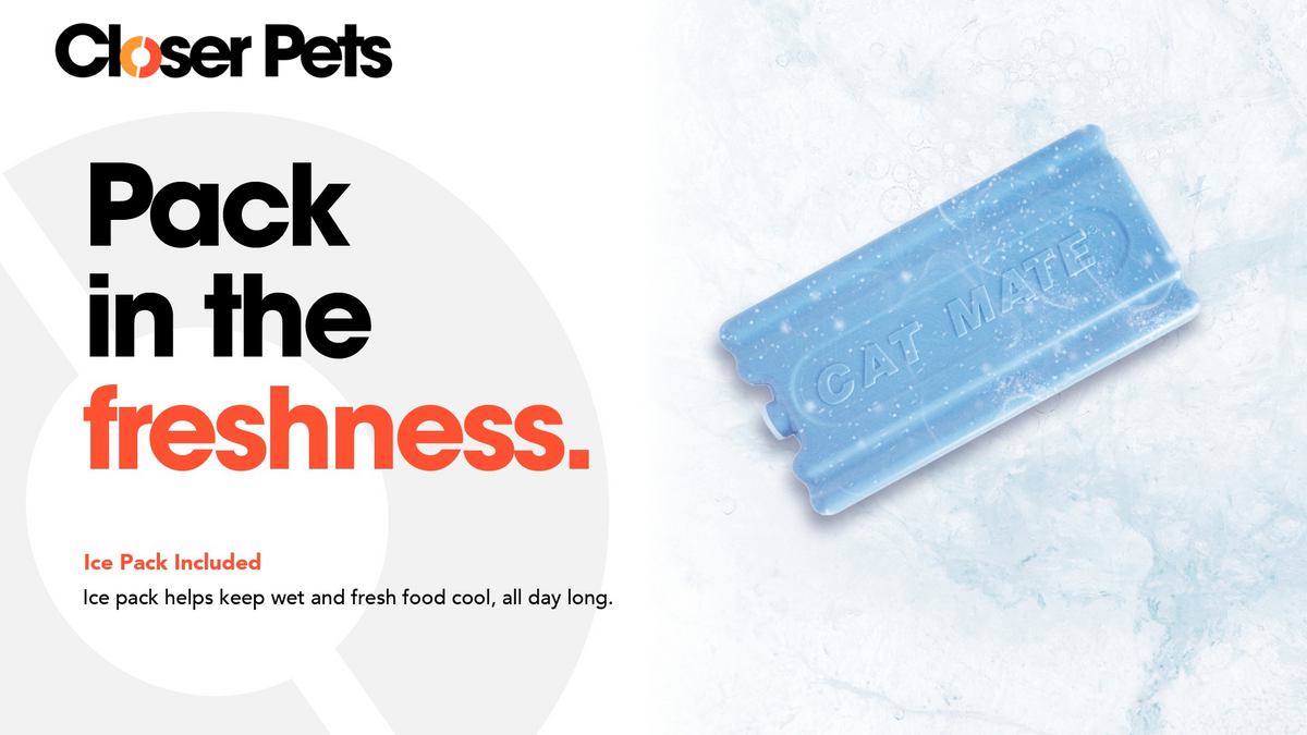 Infographic featuring a blue Cat Mate-branded ice pack on an icy background. On the left side, bold text reads 'Pack in the freshness.' in black and orange. Below, a caption in smaller text says 'Ice Pack Included – Ice pack helps keep wet and fresh food cool, all day long.