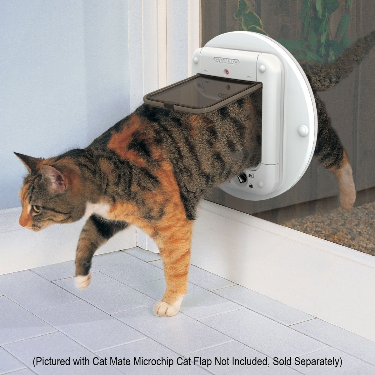 A lifestyle image which shows a tri-coloured tabby cat entering a building through the white cat flap that has been placed in a glass panel. 