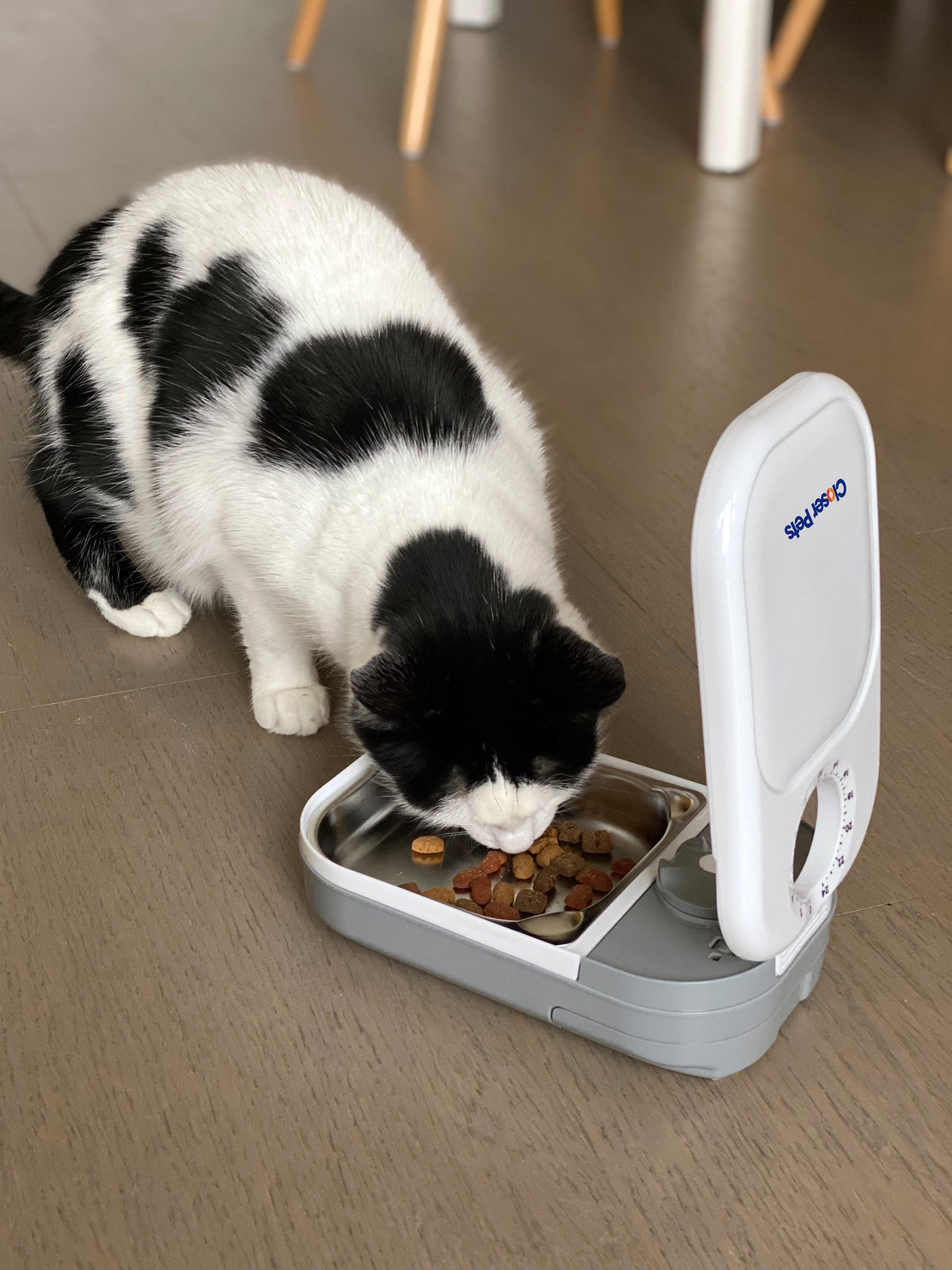A black and white cat eating dry food out of the one meal pet feeder. 
