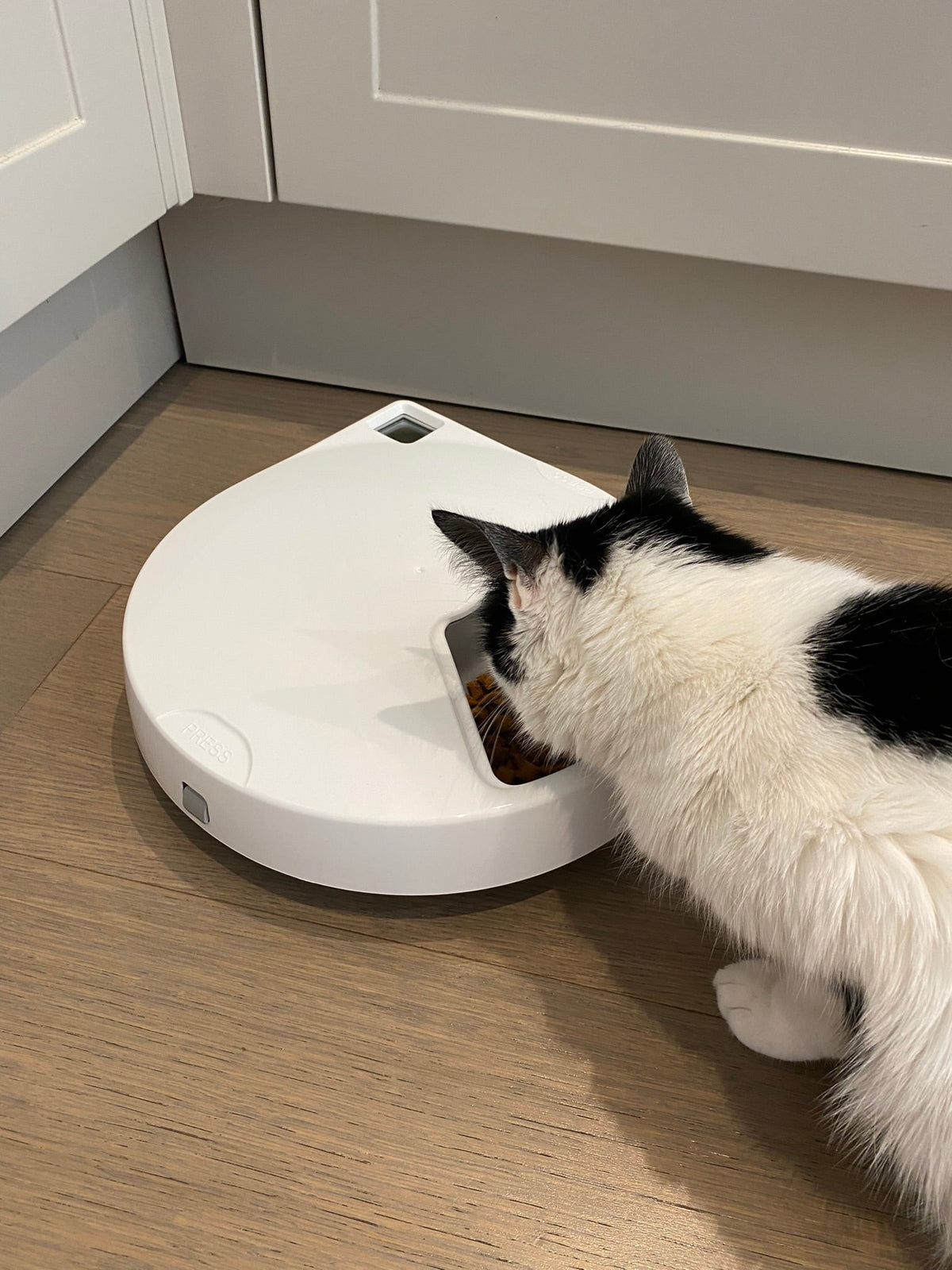 Closer Pets Stainless Steel Inserts x 5 for Five-meal Automatic Pet Feeders (464)