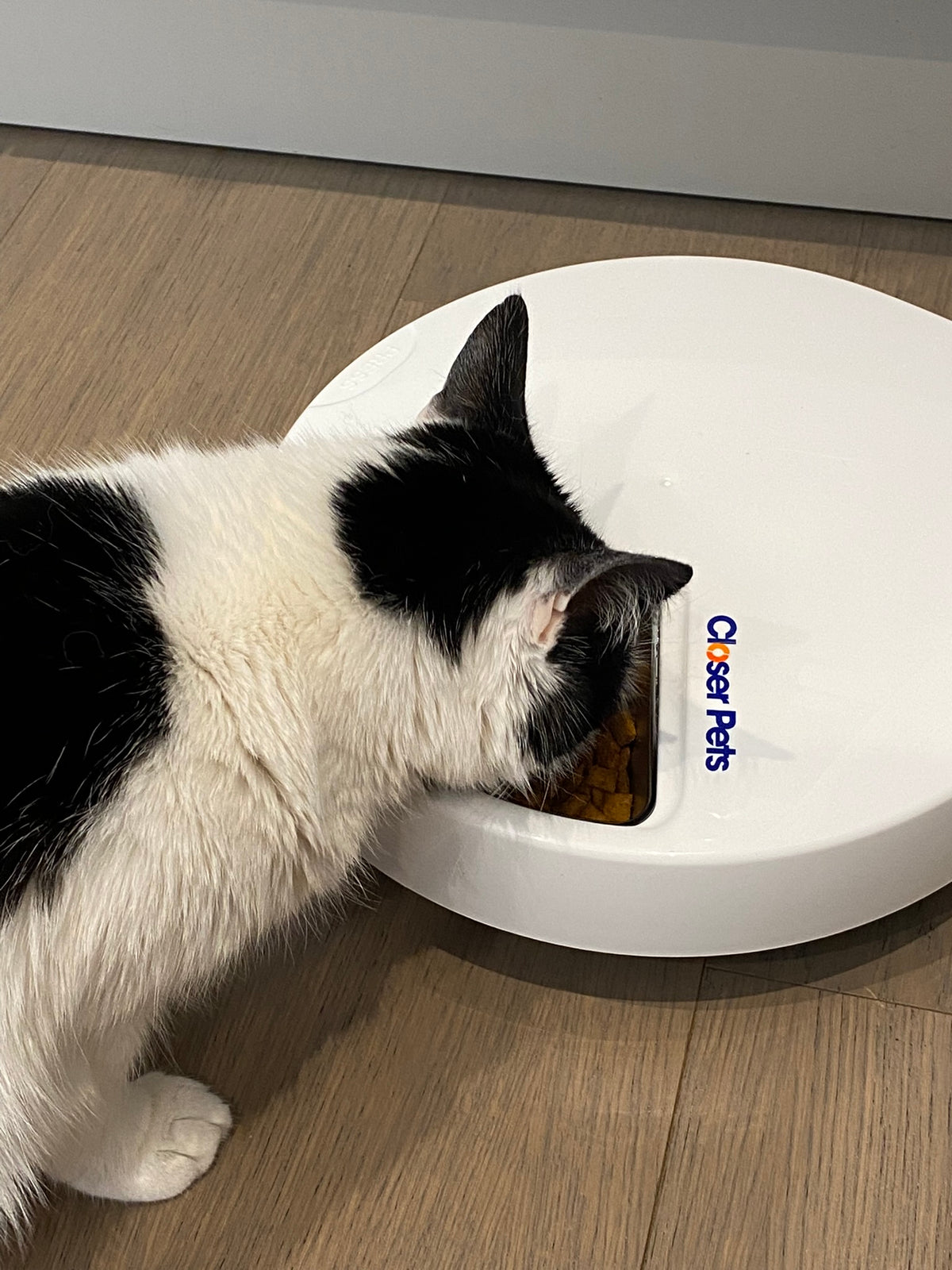 A close up angle of a black and white cat eating from the automatic pet feeder. 